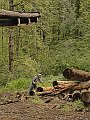 Logging-017L