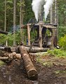 Logging-065A