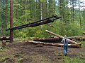 Logging-160A